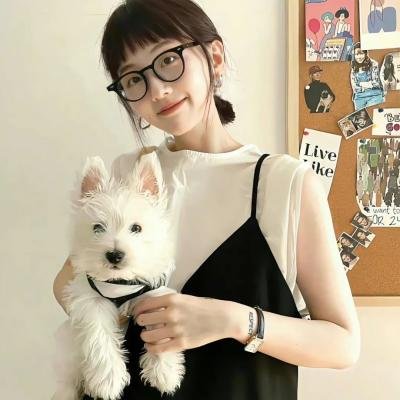 土狼之旅 海报